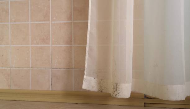 Best Mold Remediation for Healthcare Facilities  in Dorneyville, PA