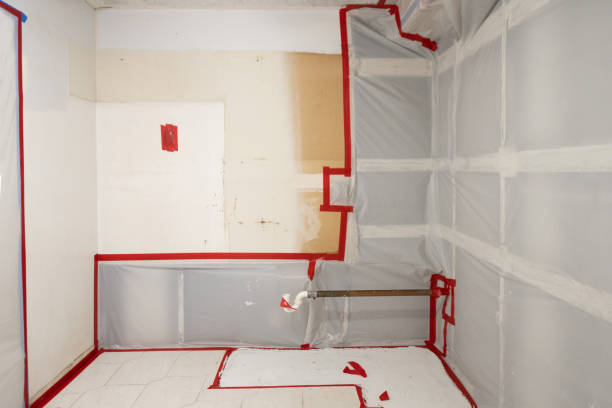 Trusted Dorneyville, PA Mold Removal Experts