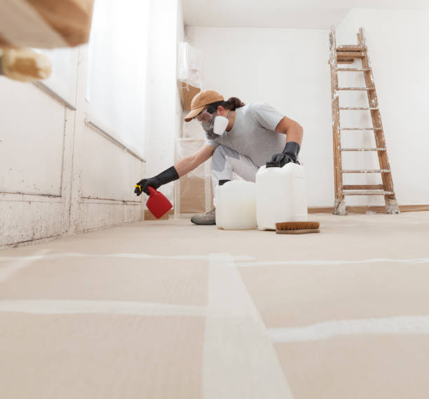 Best Real Estate Mold Inspection  in Dorneyville, PA